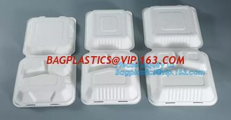 China biodegradable corn starch fast food container,Biodegradable Box Corn Starch Food Container Manufactures bagease package supplier