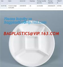 China Eco Friendly sugarcane bagasse plates display tray,disposable 5 compartments sugarcane pulp plates with lid, bagplastics supplier