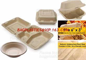 China Amazon top seller 2018 1500ml square 3 compartments biodegradable corn starch disposable lunch container bagease bagplas supplier