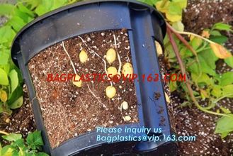 China 5 gallon Plastic Smart Ginger or Potato Planting Pots for home garden,PP potato grow pot planting bag,potato planter pot supplier