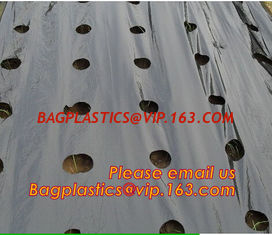 China Perforated plastic mulch film save drilling troubles,perforated agricultural plastic mulch film,perforated white/black m supplier