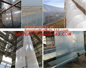 China Multi-Span Plastic Film Cover Natural Ventilation Vegetable Greenhouse,Greenhouse Kits Plastic Greenhouse 200 micron gre supplier