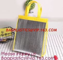 China Customized logo printing insulated food delivery cooler bag,wholesale waterproof food delivery thermal bags bagplastics supplier