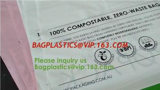 China Biobag Compostable Mailer 100% Biodegradable Postage Bags Mailing Courier Bags Biodegradable Poly Mailer/ Express Heavy supplier