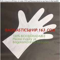 China Biodegradable and compostable PLA gloves,OEM cheap biodegradable kitchen disposable gloves with EN13432 BPI OK compost h supplier