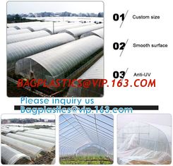 China 200 Micron Uv Resistant Film Greenhouse Perforated Mulch Agricultural Film Vegetable Planting supplier