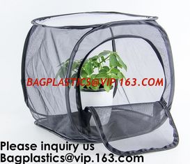 China Agricultural Greenhouses for Tomato Planting,Pop-Up Tomato Plant Protector Serves as a Mini Greenhouse to Accelerate Gro supplier