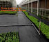 Garden Agricultural Weed Mat,Plastic Ground Cover, Weed Control Mat, pp woven grass mat, black woven pp fabric supplier