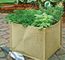 Reusable Gardening Bag with Lid Pop Up Bag, Pop Up Garden Bags for Leaf, Garden Bags, Reusable Heavy Duty Gardening Bag supplier