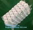 medical compostable disposable plastic gloves, EN13432 BPI OK compost home ASTM D6400 cheap Factory OEM biodegradable di supplier