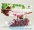 cpp printed slider zip lock vegetable fruit bag, grape packing bags/ fresh grape packaging bag, food preservation slider supplier