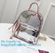 vinyl backpack, Travel Bag Clear Unisex Transparent School Backpack, PVC Tarpaulin Dry Backpack, Customized Clear Childr supplier