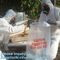 LDPE Asbestos Bags Transparent / Clear - Plain or Printed, Printed Asbestos Bag, Asbestos waste Bag, Asbestos Colour Fil supplier