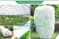 Quality ground cover fabrc mesh, non woven mesh, agriculture nonwoven fabric, 100% new pp with 1-6% UV added, fruit cove supplier