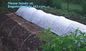 Anti UV sunshade agricultural nonwoven fabric, Agricultural pp spunbond nonwoven fabric /agriculture ground cover for pl supplier