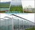 best quality agricultural weed barrie,UV stable Polypropylene woven fabric weed barrier,maintenance free anti weed mat, supplier