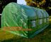 WATER PROOF UV COATING REINFORCED PE HYDROPONIC GREENHOUSE, PE WOVEN OUTER DOOR, Polytunnel Mini Tunnels Walk in Greenho supplier