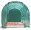 Economic Small Windscreen Green Garden House,vegetable greenhouse hoop green house,small Garden Greenhouse for Indoor pl supplier