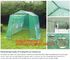 polycarbonate plastic sheet agricultural mini garden green house,plastic walk in dome garden green house, SUPPLIES, PAC supplier
