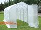 Easy install greenhouse tomato single-span Plastic Film Green House,Low cost garden green houses for plating, PACKAGES supplier