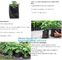 Nine pockets cheap vegetable grow planter bag,china manufacture riptop waterproof nursery bag,planting potato grow bag supplier