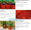 100 /200/300 gallon tan tree grow bag 100gallon grow bag for plant trees,vegetables grow bags planting bags growing bags supplier