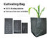 Effective UV Stabilized Black White Plastic Growing Bag / Polyethylene Jumbo Tree Planter Bag,Poly seedling bag 5 gallon supplier