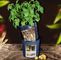 High quality PP potato grow pot planting bag,Gallon Garden Plastic Nursery Plant Flower Grow Pot for Plants, Black Indoo supplier