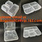 32oz Biodegradable Diamond Shape Compostable PLA Raw Material transparent Clear Plastic Salad Bowl,sauce soup salad bowl supplier