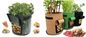5 gallon Plastic Smart Ginger or Potato Planting Pots for home garden,PP potato grow pot planting bag,potato planter pot supplier