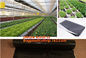 Polyethylene Commercial Tunnel Greenhouse Film for Tomato Planting 200micron,Tomato Growth Plant Tomato Film,film coveri supplier