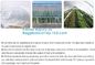 200 Micron Uv Resistant Film Greenhouse Perforated Mulch Agricultural Film Vegetable Planting supplier