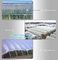200 Micron Uv Resistant Film Greenhouse Perforated Mulch Agricultural Film Vegetable Planting supplier