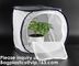 Agricultural Greenhouses for Tomato Planting,Pop-Up Tomato Plant Protector Serves as a Mini Greenhouse to Accelerate Gro supplier