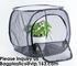 Agricultural Greenhouses for Tomato Planting,Pop-Up Tomato Plant Protector Serves as a Mini Greenhouse to Accelerate Gro supplier