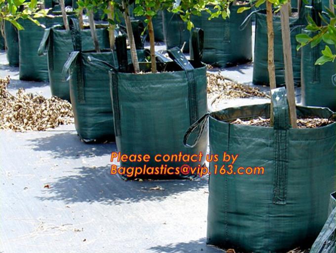 woven bags, shopping bags, promotion bags, jumbo bags, fashion bags, and tote bags,green pp woven bag, pp woven shopping