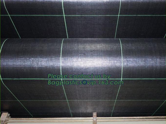DRIP IRRIGATION PIPE,PE DRIP TAPE PIPE,PPR PIPE,PVC PIPE,PMMA SHEET,PIPE FITTINGS,PERT PIPE,PC SHEET,PE PIPE,PEX PIPE PB
