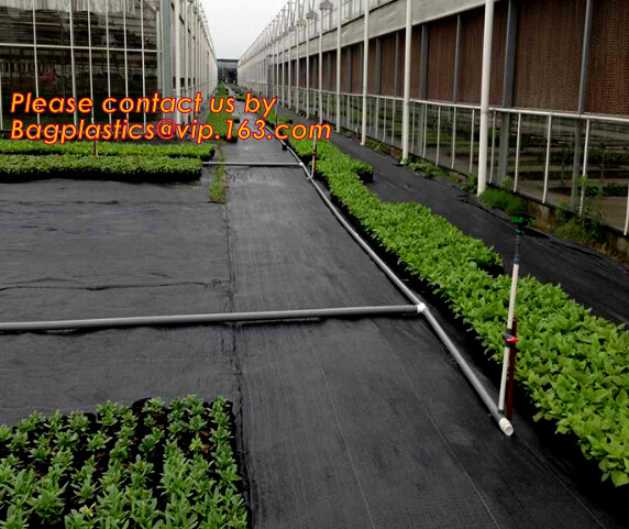 DRIP IRRIGATION PIPE,PE DRIP TAPE PIPE,PPR PIPE,PVC PIPE,PMMA SHEET,PIPE FITTINGS,PERT PIPE,PC SHEET,PE PIPE,PEX PIPE PB