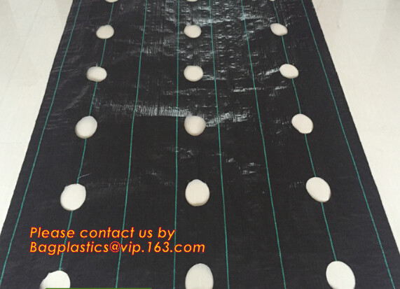 DRIP IRRIGATION PIPE,PE DRIP TAPE PIPE,PPR PIPE,PVC PIPE,PMMA SHEET,PIPE FITTINGS,PERT PIPE,PC SHEET,PE PIPE,PEX PIPE PB