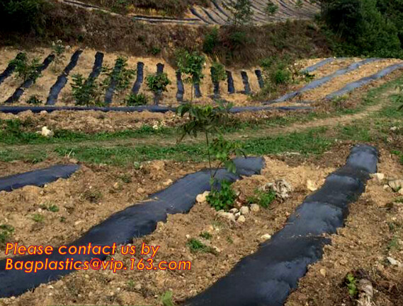 DRIP IRRIGATION PIPE,PE DRIP TAPE PIPE,PPR PIPE,PVC PIPE,PMMA SHEET,PIPE FITTINGS,PERT PIPE,PC SHEET,PE PIPE,PEX PIPE PB