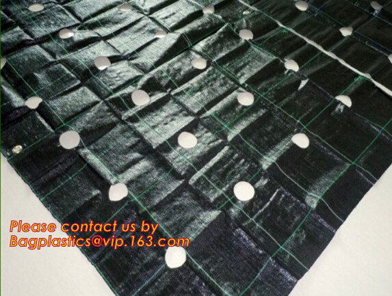 DRIP IRRIGATION PIPE,PE DRIP TAPE PIPE,PPR PIPE,PVC PIPE,PMMA SHEET,PIPE FITTINGS,PERT PIPE,PC SHEET,PE PIPE,PEX PIPE PB