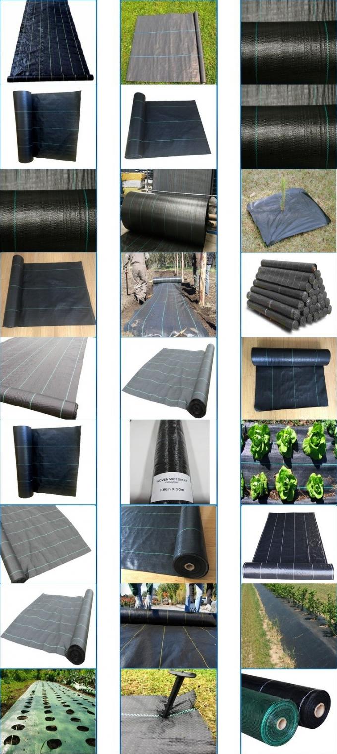 DRIP IRRIGATION PIPE,PE DRIP TAPE PIPE,PPR PIPE,PVC PIPE,PMMA SHEET,PIPE FITTINGS,PERT PIPE,PC SHEET,PE PIPE,PEX PIPE PB