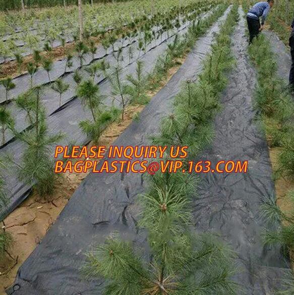 DRIP IRRIGATION PIPE,PE DRIP TAPE PIPE,PPR PIPE,PVC PIPE,PMMA SHEET,PIPE FITTINGS,PERT PIPE,PC SHEET,PE PIPE,PEX PIPE PB
