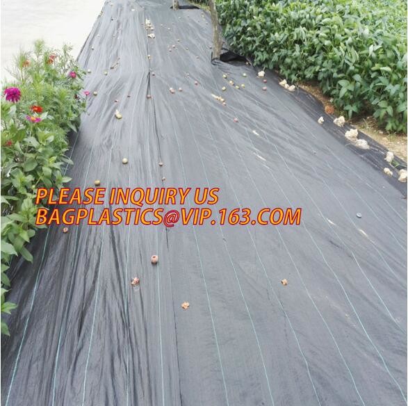 DRIP IRRIGATION PIPE,PE DRIP TAPE PIPE,PPR PIPE,PVC PIPE,PMMA SHEET,PIPE FITTINGS,PERT PIPE,PC SHEET,PE PIPE,PEX PIPE PB