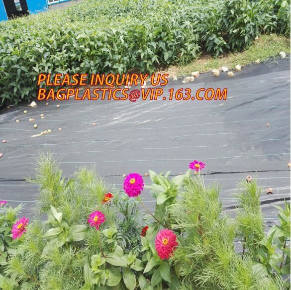 DRIP IRRIGATION PIPE,PE DRIP TAPE PIPE,PPR PIPE,PVC PIPE,PMMA SHEET,PIPE FITTINGS,PERT PIPE,PC SHEET,PE PIPE,PEX PIPE PB