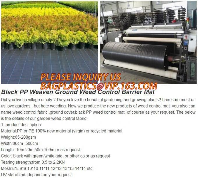 DRIP IRRIGATION PIPE,PE DRIP TAPE PIPE,PPR PIPE,PVC PIPE,PMMA SHEET,PIPE FITTINGS,PERT PIPE,PC SHEET,PE PIPE,PEX PIPE PB