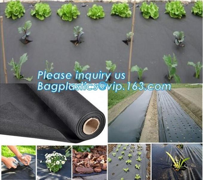 DRIP IRRIGATION PIPE,PE DRIP TAPE PIPE,PPR PIPE,PVC PIPE,PMMA SHEET,PIPE FITTINGS,PERT PIPE,PC SHEET,PE PIPE,PEX PIPE PB