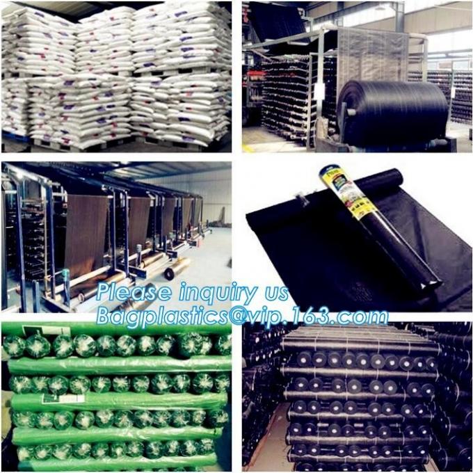 DRIP IRRIGATION PIPE,PE DRIP TAPE PIPE,PPR PIPE,PVC PIPE,PMMA SHEET,PIPE FITTINGS,PERT PIPE,PC SHEET,PE PIPE,PEX PIPE PB