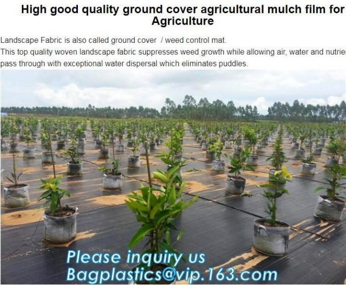 DRIP IRRIGATION PIPE,PE DRIP TAPE PIPE,PPR PIPE,PVC PIPE,PMMA SHEET,PIPE FITTINGS,PERT PIPE,PC SHEET,PE PIPE,PEX PIPE PB