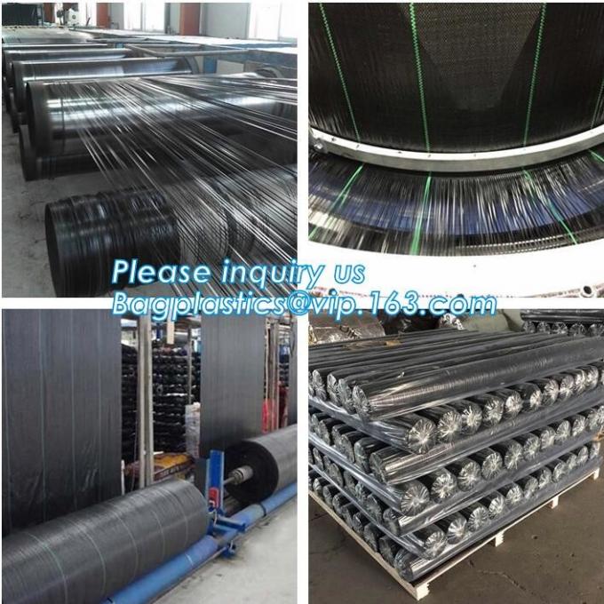 DRIP IRRIGATION PIPE,PE DRIP TAPE PIPE,PPR PIPE,PVC PIPE,PMMA SHEET,PIPE FITTINGS,PERT PIPE,PC SHEET,PE PIPE,PEX PIPE PB
